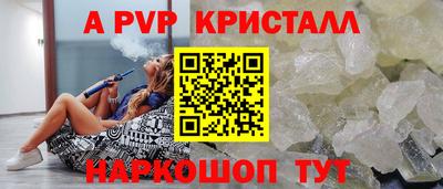 скорость Кингисепп