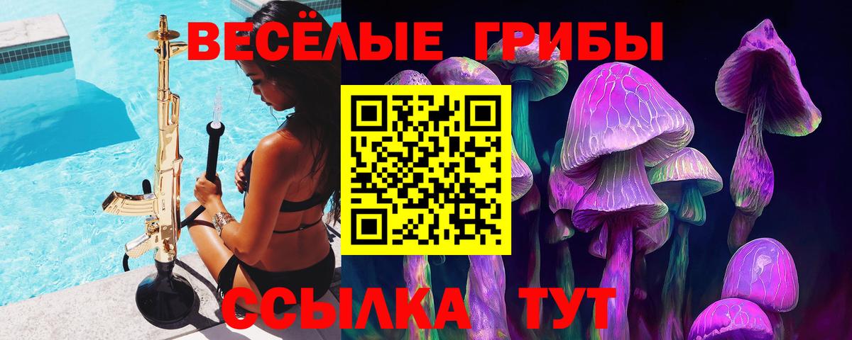Котлас  Псилоцибиновые грибы мухоморы  Псилоцибиновые грибы мицелий  Вход с VPN 
