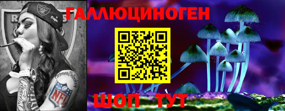 Псилоцибиновые грибы Magic Shrooms Котлас